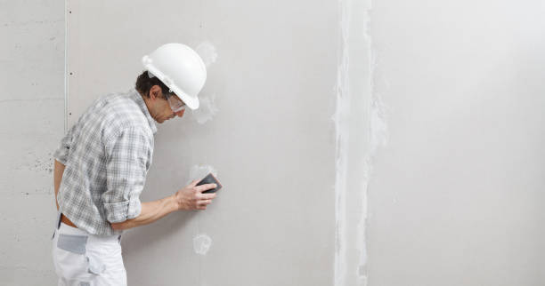 Best Asbestos and Lead Testing During Mold Inspection  in Baldwin, LA