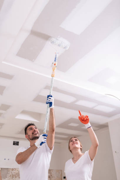 Mold Removal for HVAC Installations in Baldwin, LA