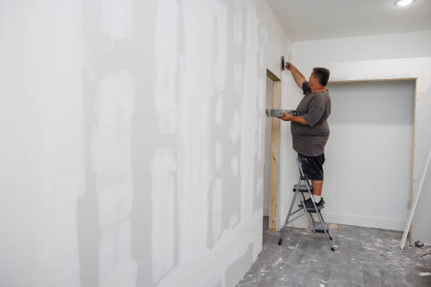  Baldwin, LA Mold Removal Pros