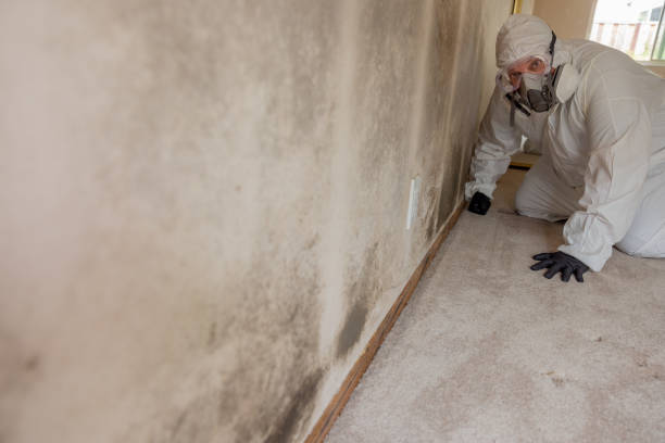 Mold Remediation for Rental Properties in Baldwin, LA