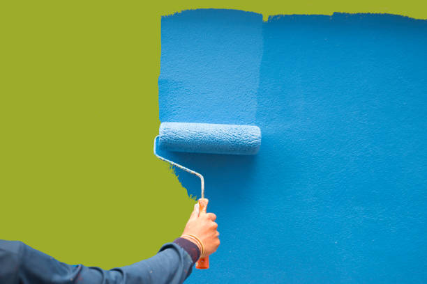 Best Basement Mold Removal  in Baldwin, LA