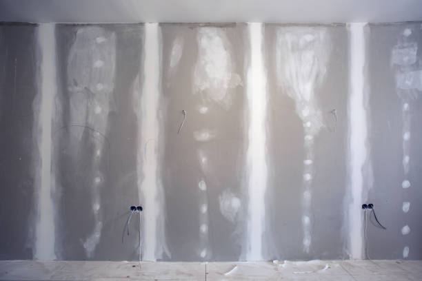 Best Attic Mold Removal  in Baldwin, LA