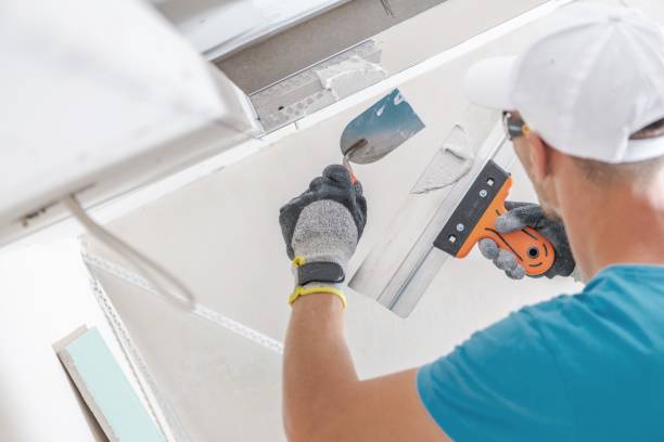 Baldwin, LA Mold Removal Company